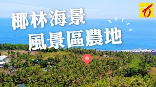 H2-28 椰林海景風景區農地/秀金空拍導覽