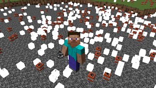 experiment v19