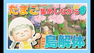 フレッシュマスカッ島を更地にしていく！！【あつ森実況】【あつまれどうぶつの森】【Animal Crossing】【女性ゲーム実況者】【TAMAchan】