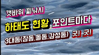 늦가을 하태도 갯바위 찌낚시 포인트마다 3대돔(참돔.돌돔.감성돔) 굿이네~굿 ! !