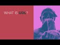 what is universal design for learning udl