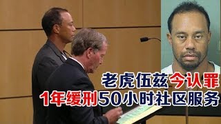 1027 老虎伍兹今认罪 1年缓刑50小时社区服务