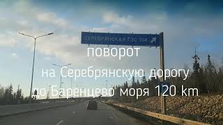 Мурманск 2019 Баренцево море Териберка Треска 2019