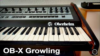 Growling with the Oberheim OB-X Synthesizer