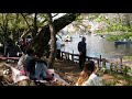 東京お花見散歩　散りゆく桜　井の頭公園　2018.3.31 sakura