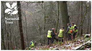 Fighting floods the natural way