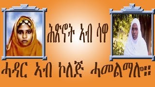 Eritrean New ሕጽኖት ኣብ ሳዋ፥ ሓዳር ኣብ ኮለጅ ሓመልማሎ