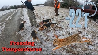 BELOW FREEZING Rabbit Hunting With Beagles!!!