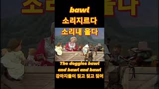 bawl 짖다, 소리내 울다. | 개들이 짖어. 난 소리내 울었어. The doggies bawl. I bawled.