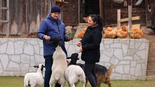 Everyday life in the Village. Warm family moments, construction, and a hot meal