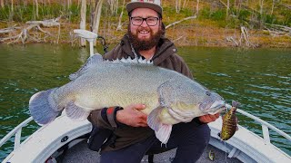 Swimbait Fishing Giant Lake Eildon Murray Cod