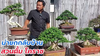 สวนบอนไซตั้ม โคราช ไซร์กำลังดี น่ายกกลับบ้าน