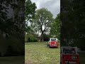 8 foot trunk on this willow treebgone treeservice treeremoval arborist treeremovallondon