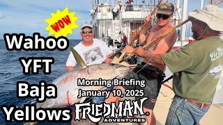 Awesome long range fishing for wahoo and big yellowfin tuna, Baja yellowtail and rockfish \u0026 more.