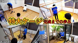 【総集編】クワカブを200匹入れたケージ制作の全て