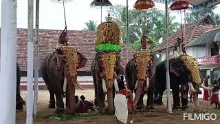 kidangoor subramanya temple utsavam #elephant #elephantvideos