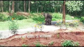 ತಾಯಿಯ ಪ್ರೀತಿಗಿಂತ ಮಿಗಿಲಾದದ್ದು ಬೇರೇನಿಲ್ಲ