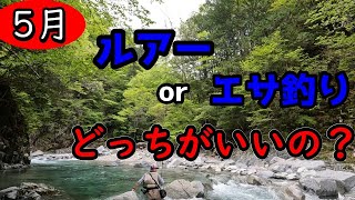 【渓流ベイトフィネス】川に流されかけたけど…岐阜県のキレイな渓で遊んできました🎣I was almost swept away by the river,  in Gifu Prefecture🎣