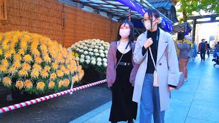 [4K]🇯🇵 Tokyo Walk - Autumn Colors at Yushima Tenjin Shrine - Nov. 2024