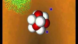 NUCLEARE : Come la Radioattività attacca il corpo umano.