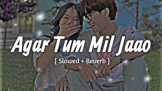 Agar Tum Mil Jaao [ Slowed + Reverb ] | Shreya Goshal | Hindi Lofi