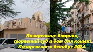 Сгоревший суд,Лазаревские дворики и дом для кошек! Лазаревское ,декабрь 24.🌴ЛАЗАРЕВСКОЕ СЕГОДНЯ🌴СОЧИ