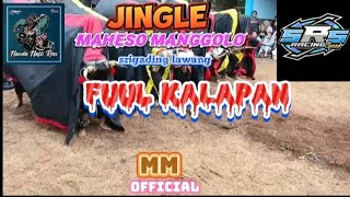 jingle maheso manggolo srigading lawang full  KALAPAN