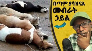 በጣም ያሳዝናል የመብራት ኋይል ስራ - Reacting To Tikus Neger Videos And Mereja