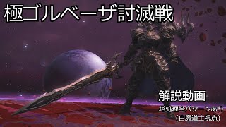 【ff14】極ゴルベーザ討滅戦 解説動画(白魔道士視点)