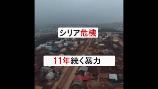 シリア危機11年