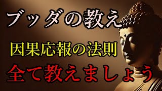 【因果応報】来世の運命は現世の行いが決める？ やったことは必ず返ってきます【ブッダの教え】