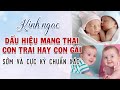 [Cực Chính Xác] 13 Dấu hiệu nhận biết giới tính thai nhi con trai hay con gái