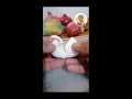 Edz nom channel PEELING & CRACKING CUTTING MY EGG🥚🥚🥚😂😂😂ENJOY WATCHING