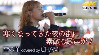 【 歌うま 】寒くなってきた夜の街に素敵な歌声が！　雪の華 / 中島美嘉（ covered by CHAMI ）🎧推奨 高音質 4K映像