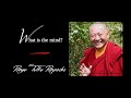 17. What is the mind? | Answers for Beginners | Ringu Tulku Rinpoche