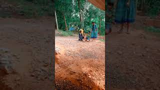 ഒരാഴ്ച്ച കാണാതിരുന്നതിന്റെ പരിഭവം.. #shortsvideo #shortvideo #pets