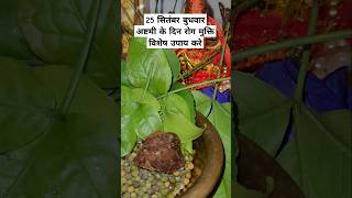 बुधवार अष्टमी के दिन रोग मुक्ति उपाय #budhwarashtami #upay #youtubeshorts #belpatra #BHAKTI CLIP