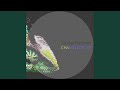 Chameleon (Original Mix)