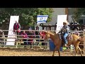 מופעים ורד הגליל 2014 team roping shlomik raziel