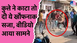 Chittorgarh में कुत्ते ने काटा तो दी ये खौफनाक सजा, Video आया सामने