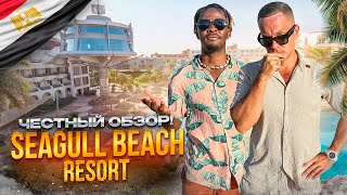 ЕГИПЕТ. ХУРГАДА. Обзор отеля SEAGULL BEACH RESORT. Хороший отдых может быть дешевым???