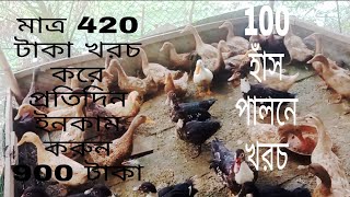 প্রতিদিন 100 হাঁস পালনে কত টাকা খরচ হবে/ প্রতিদিন মাত্র 420 টাকা খরচে 100 হাঁস পালন করুন