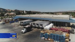 Coronavirus Cluster Discovered At Morgan Hill Fish Processing Plant