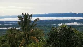 morning view of sajek; মেঘের উপর সাজেক; সাজেকের সকাল।