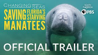 Saving Florida's Starving Manatees - Official Trailer