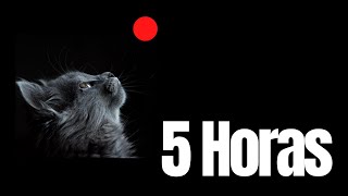 Juego Laser para Gatos 5 HORAS - Rápido a Distintas Velocidades - Fondo Negro