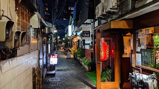 神楽坂｜もはや完全に迷路。路地裏の夕暮れ散策【4K】