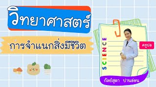 วิทยาศาสตร์ ป.4 : การจำแนกสิ่งมีชีวิต