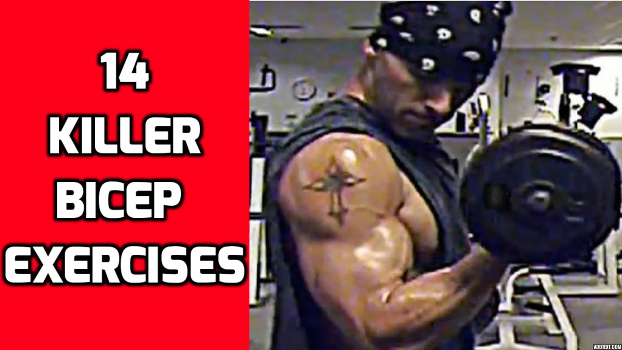 Killer Mass Building Bicep Workout