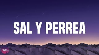 Sech-Sal y Perrea (Letra/Lyrics)